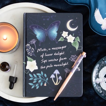 Midnight Moth Journal With Amethyst Pen