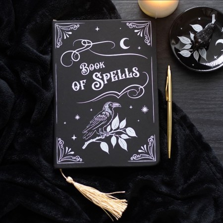 Mystic Raven Book Of Spells A5 Notebook