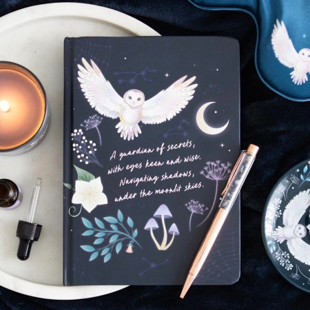 Night Owl Journal With Sodalite Pen