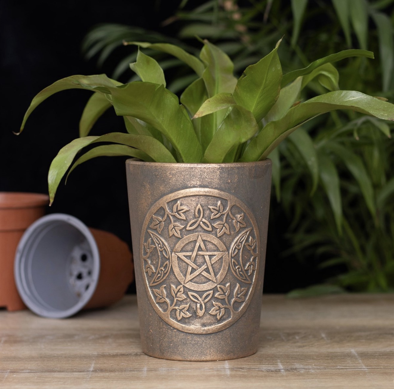 Triple Moon Bronze Terracotta Plant Pot By Lisa Parker - Image 4